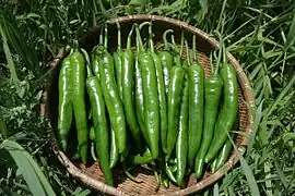 Cheongyang chili pepper from Cheongyang County, South Chungcheong Province, South Korea