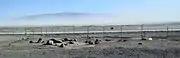 A dust storm forms over the dry Searles Lake bed, viewed from the Trona tourist stop.