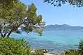 Formentor and its pine trees inspired the poet Miquel Costa i Llobera