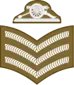 Sergeant(Army of Malta)