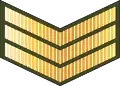 Sarjan(Royal Brunei Land Force)