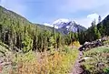 Sacajawea Peak from Hurricane Creek Trail