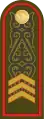 CержантSerjant(Kazakh Ground Forces)