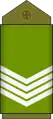 Premier sergent(Land Forces of the DR Congo)