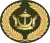 Warrant Officer Class 1