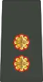 Lieutenant(Royal Bhutan Army)