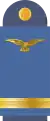 (Ghana Air Force)