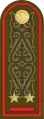 ЛейтенантLeytenant(Kazakh Ground Forces)