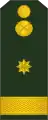 Maior(Moldovan Ground Forces)