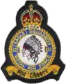 121 Eagle Squadron crest