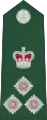 Brigadier general(Barbados Regiment)