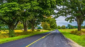 13 Mile Road in Courtland Township