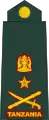 Brigedia jenerali(Tanzanian Army)