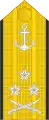 Vice admiral(Namibian Navy)