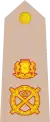 Major general(Somali: Sareeye Gaas)(Somali National Army)