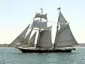 Designed for speed in the Baltimore Clipper tradition, schooner Shenandoah has two raked masts, gaff-rigged; two square sails; a staysail and two jibs.