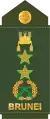 Mejar jeneral(Royal Brunei Land Force)