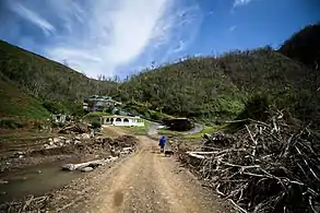 Returning home with water and food provided by FEMA on Oct. 17, 2017