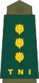 Colonel