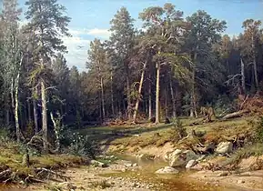 A Pine Forest. Mast-Timber forest in Viatka Province, 1872