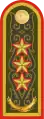 Генерал-ПолҝвниҝGeneral-polkovnïk(Kazakh Ground Forces)