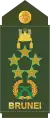 Fil marsyal(Royal Brunei Land Force)