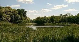 field of cat tails and swamp grass, and a small, long pond.