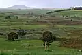 Harmans Valley to Mount Napier