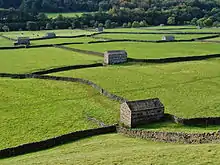 Stone barns in the meadows near Gunnerside New Bridge