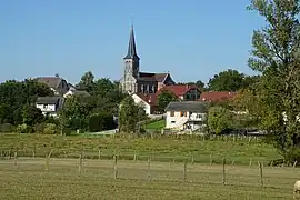 A general view of Bouhans-lès-Lure