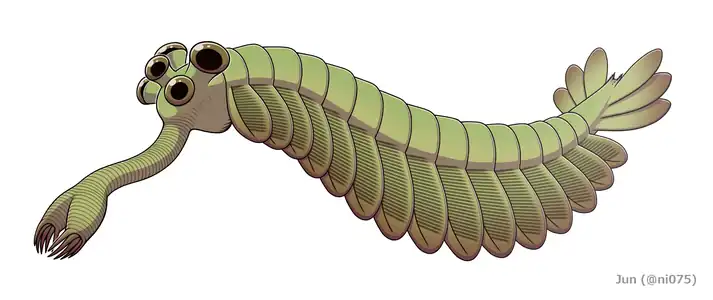 Opabinia, an extinct stem group arthropod appeared in the Middle Cambrian: 124–136 