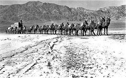 Twenty-mule team, Borax freight, USA 1880s