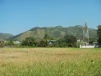 Mount Mataba, one of the rolling hills in the Marikina Valley