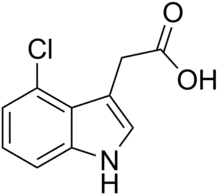 Skeletal structure diagram