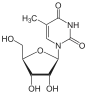 Chemical structure of 5-methyluridine