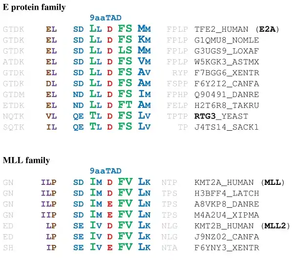 9aaTADs in the E protein family