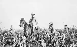 Troops of 1st Battalion, Australian Commonwealth Horse in the Transvaal, 1902.