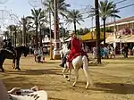 Horse Riding at Fair of Jerez de la Frontera