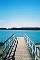 Fishing dock by a lake across near bike trails