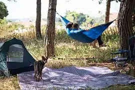 Nylon ripstopcamping hammock