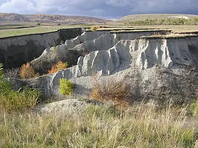 A gully in Saratov Oblast, Russia.