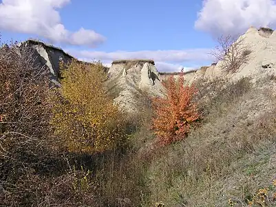 Inside the gully (to the left) in Saratov Oblast, Russia.