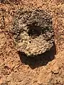 A pillar that used to hold the Naa Jeringa wall in Nalerigu