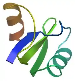 3D model of AaHIT1 residue 19-88