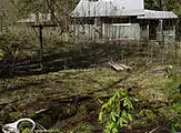 Abandoned Cabin