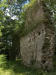 Ruins of the abbey