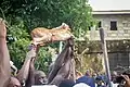 A group catches deer for the Aboakyer festival in Ghana