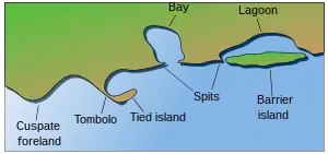 Coastal and oceanic landforms