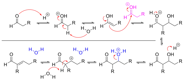 A mechanism for aldol condensation in acidic conditions, which occurs through enol intermediates and an elimination reaction.