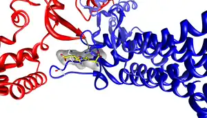 active site